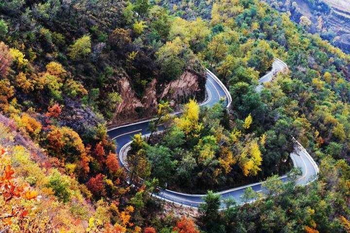 《层林浸染》 段晓霞