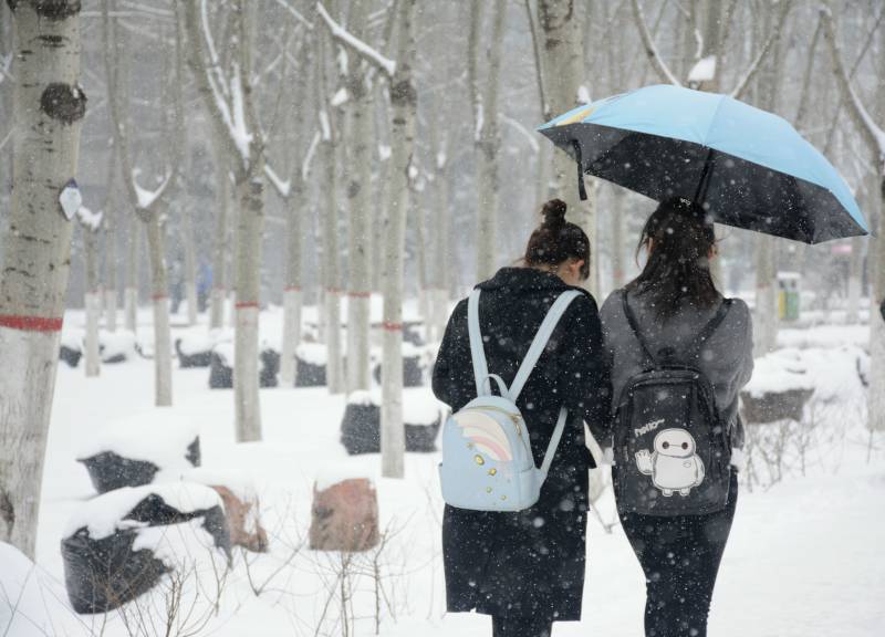《雪中情》 陈雅楠