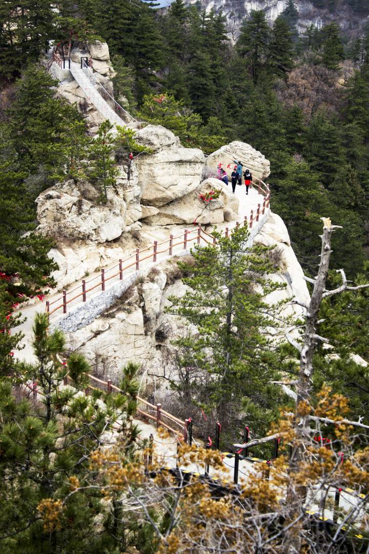 《曲径》 杨霄生