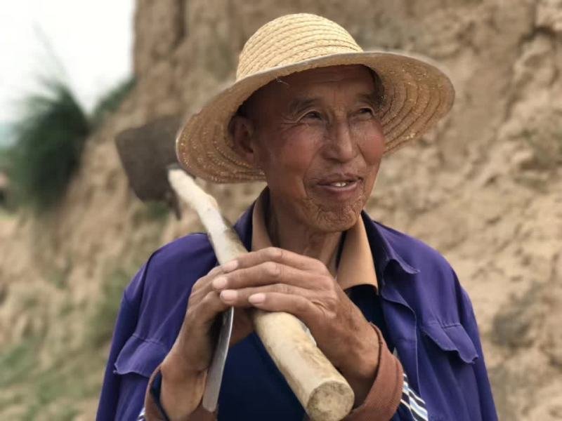 《劳动者》 芦建清