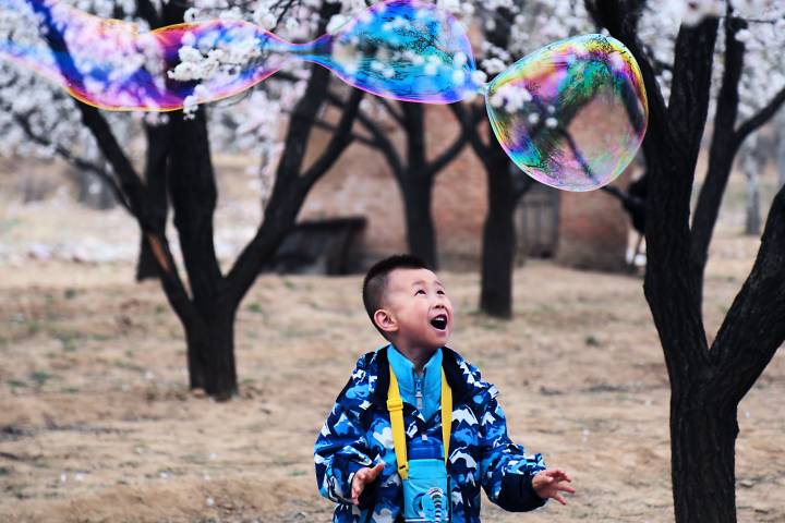 《童趣》 段晓霞